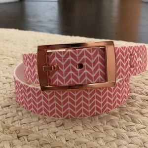 C4 Hunt For The Cure Belt